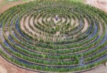 Guabiruba inaugura o maior labirinto do Sul do Brasil